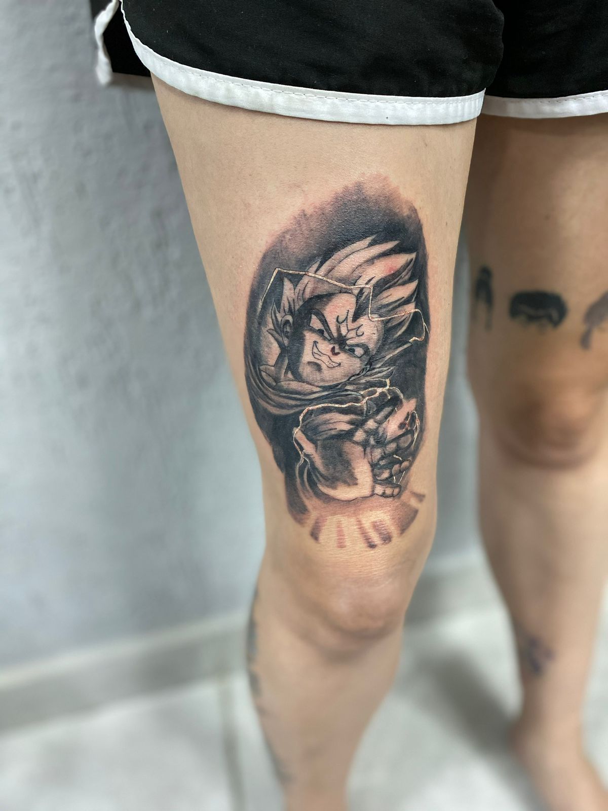 Lobo com cocar
